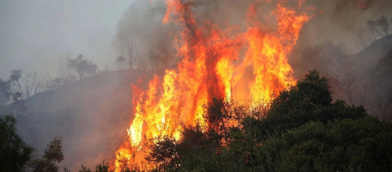 Φωτιά ξέσπασε σε δασική έκταση στη Μάνη - Επιχειρούν επίγεια και εναέρια μέσα